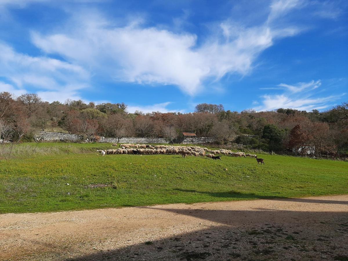 Trulli Panoramici Panzió Alberobello Kültér fotó